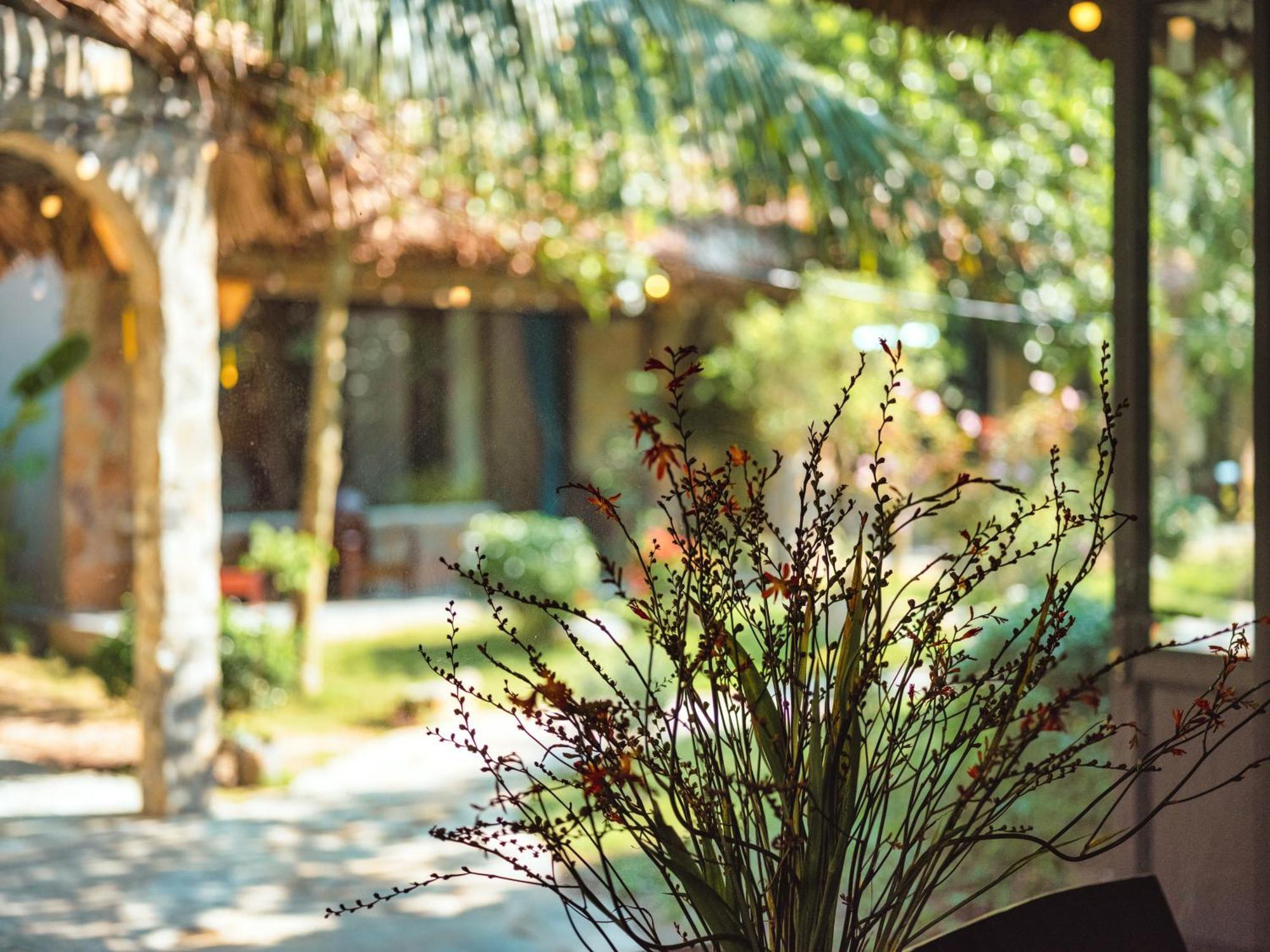 Cozy Beer Garden Homestay นิญบิ่ญ ภายนอก รูปภาพ